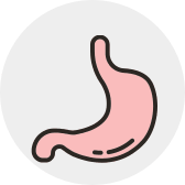 human_Stomach